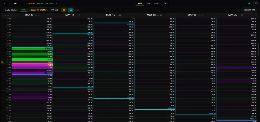TeploMap options exposure ladder showing strikes and expiration columns
